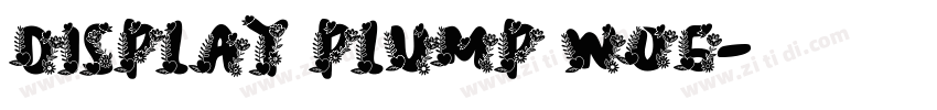 Display Plump W05字体转换